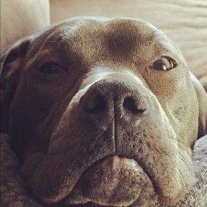 Meet your Posher, Alanna